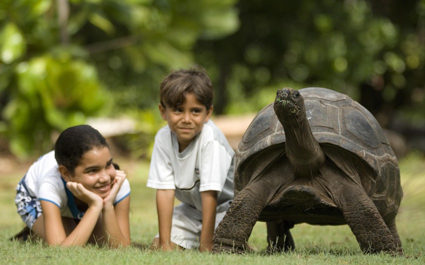Tajomný ostrov Aldabra